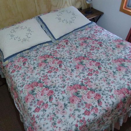 Bed and Breakfast Flor/Victoria Villarrica Esterno foto
