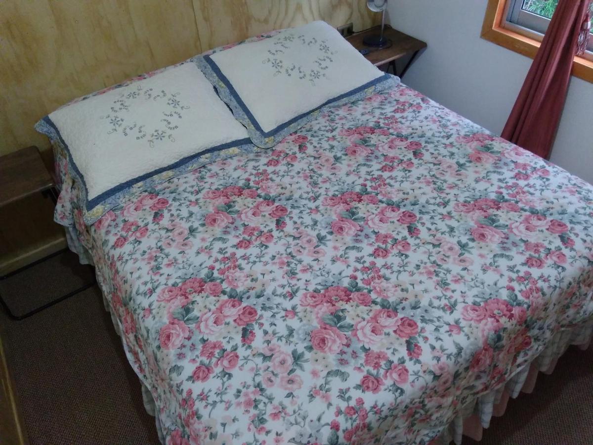 Bed and Breakfast Flor/Victoria Villarrica Esterno foto