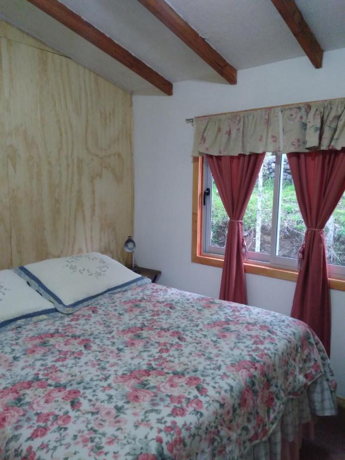 Bed and Breakfast Flor/Victoria Villarrica Esterno foto